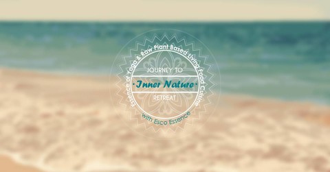 Essence Of Yoga & Raw Plant Based Living Food Cuisine