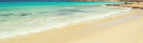 The Ultimate Health Fest